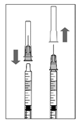 В асептичних умовах щільно приєднати голку для ін’єкції (30G × ½″, 0,3 мм × 13 мм) до шприца.